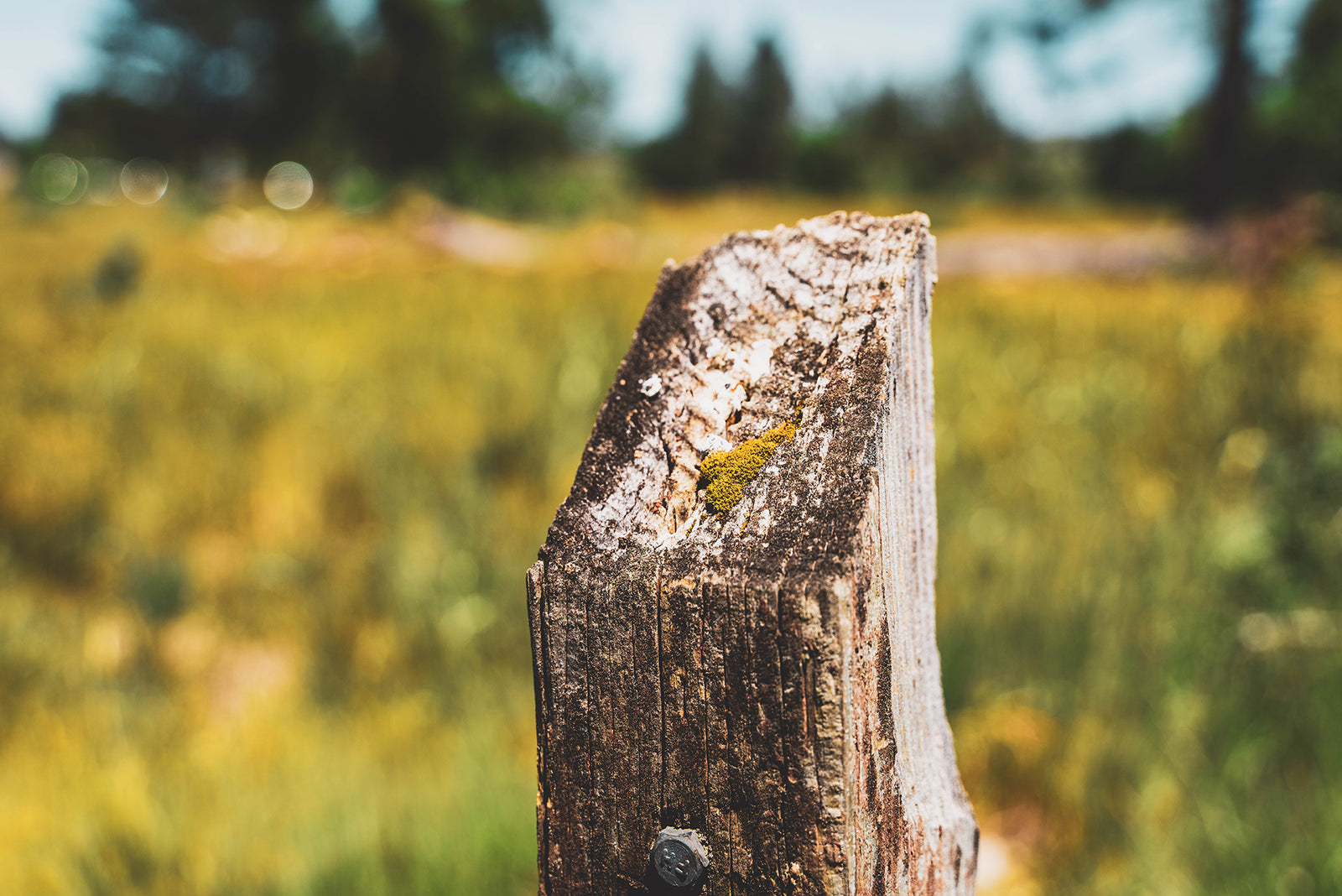 What remains at Battle Creek Golf Club