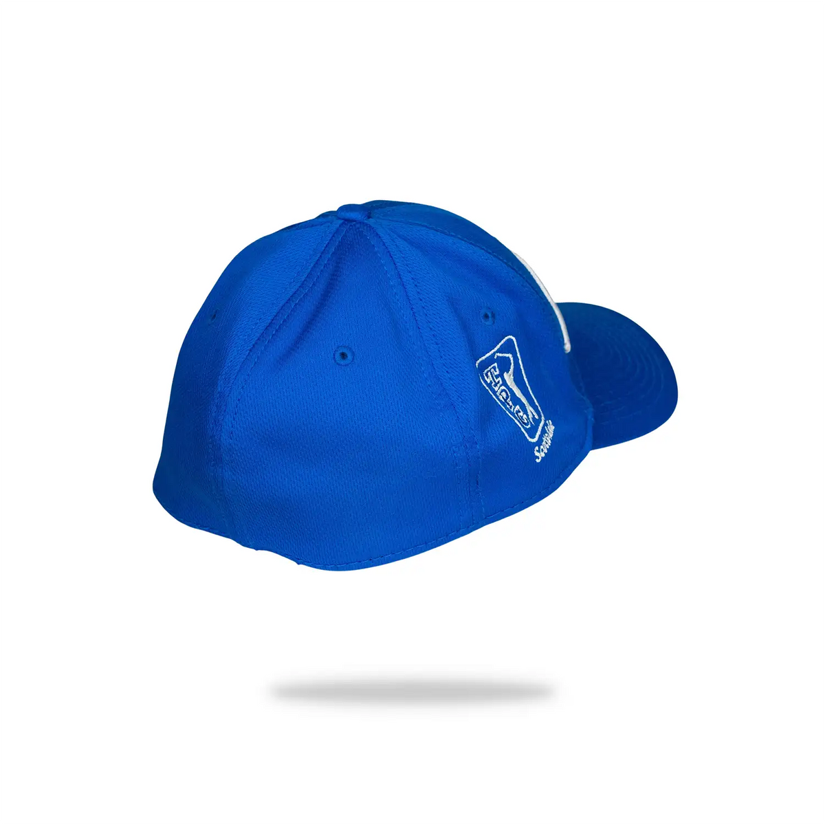 titlest tpc scottsdale hat blue back